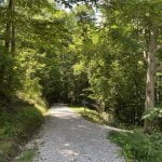 Nature+Trail+path+-1920w