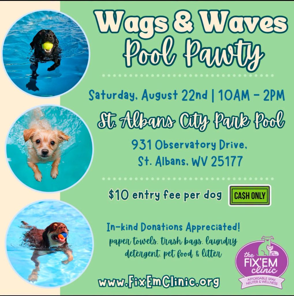 Wags & Waves Pool Pawty